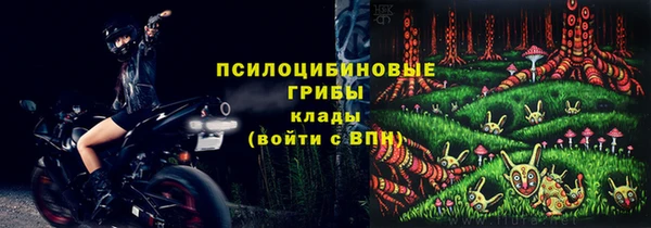 спиды Богородск