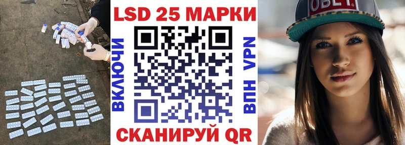 как найти наркотики  ОМГ ОМГ зеркало  Лсд 25 экстази кислота  Новопавловск 
